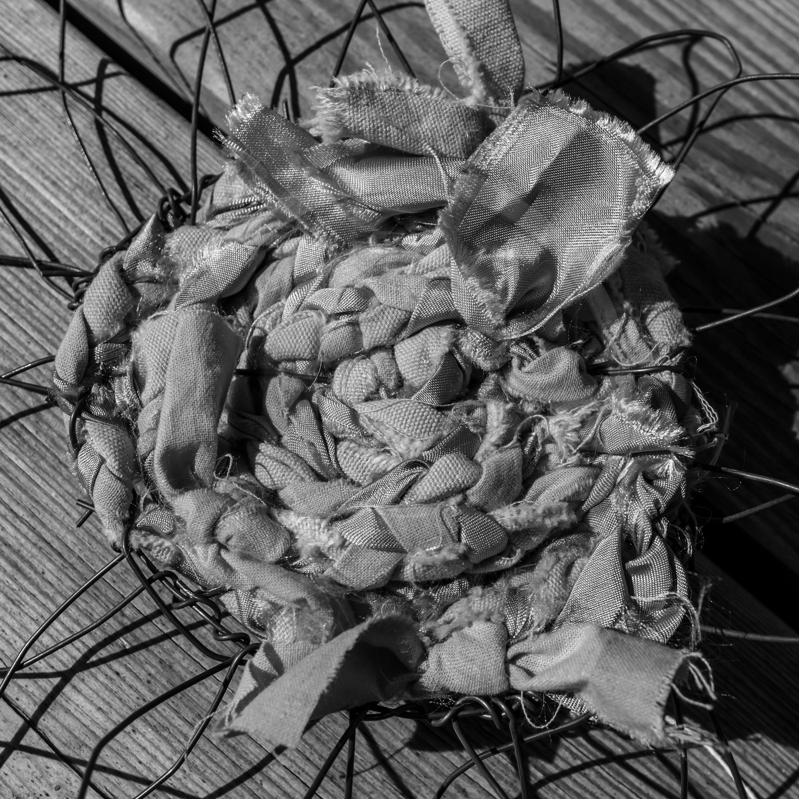 Activités au jardin